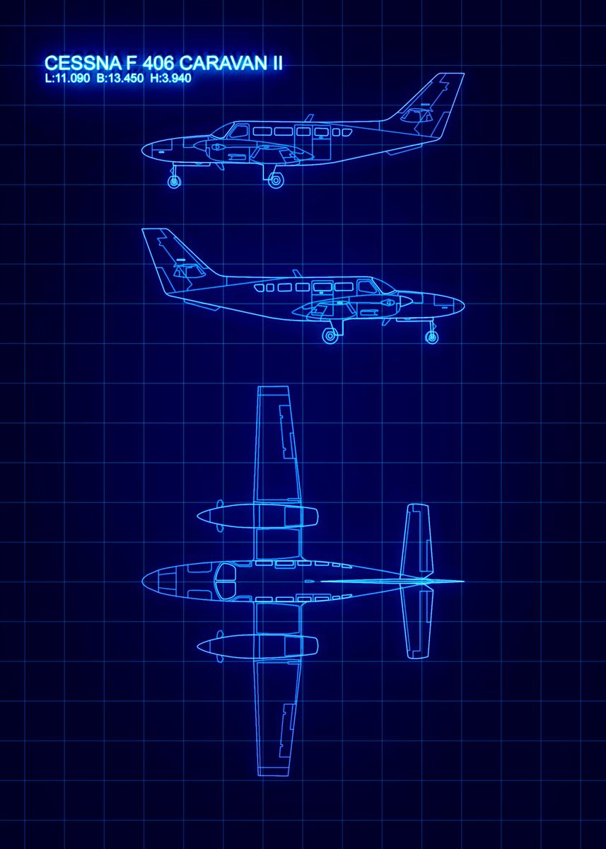 'CESSNA F 406 CARAVAN II' Poster, picture, metal print, paint by Black