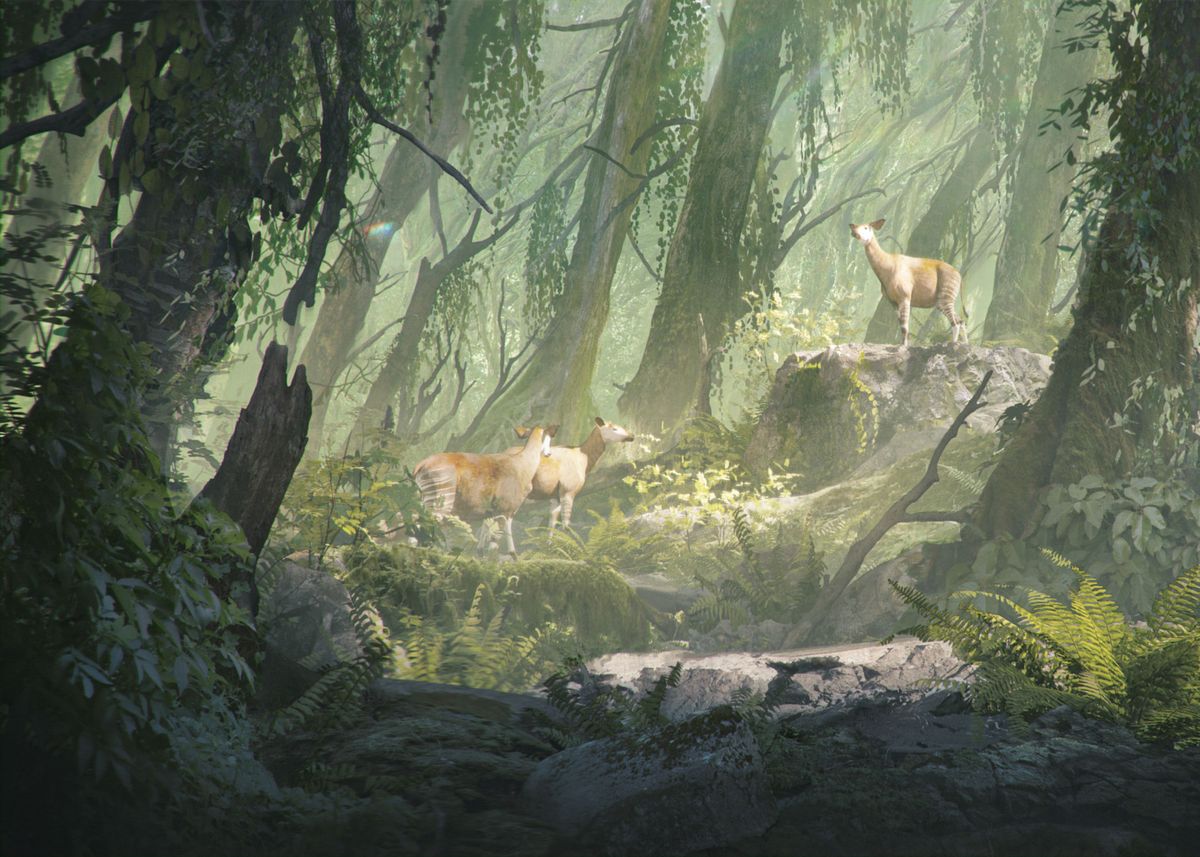 'Forest animals' Poster by Ede Laszlo Displate
