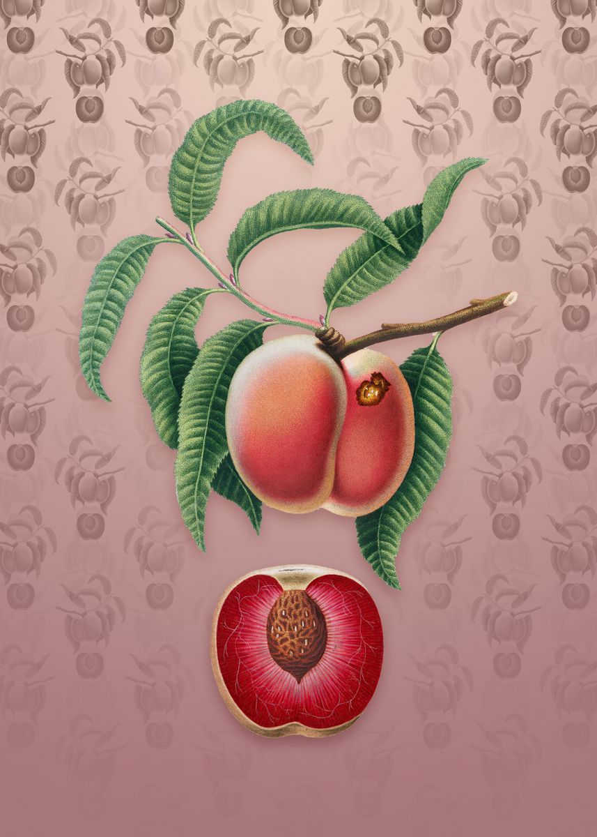 Vintage Carrot Peach Poster By Holy Rock Design Displate