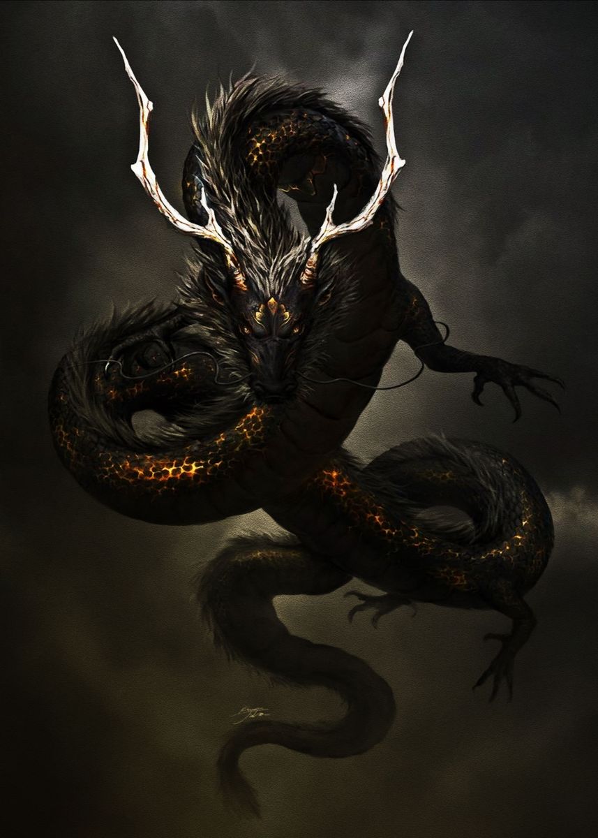 'Black Dragon' Poster by musdayanti studio | Displate