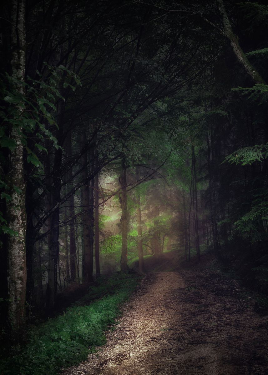 'Dark Forest Path' Poster by Conceptual Photography | Displate