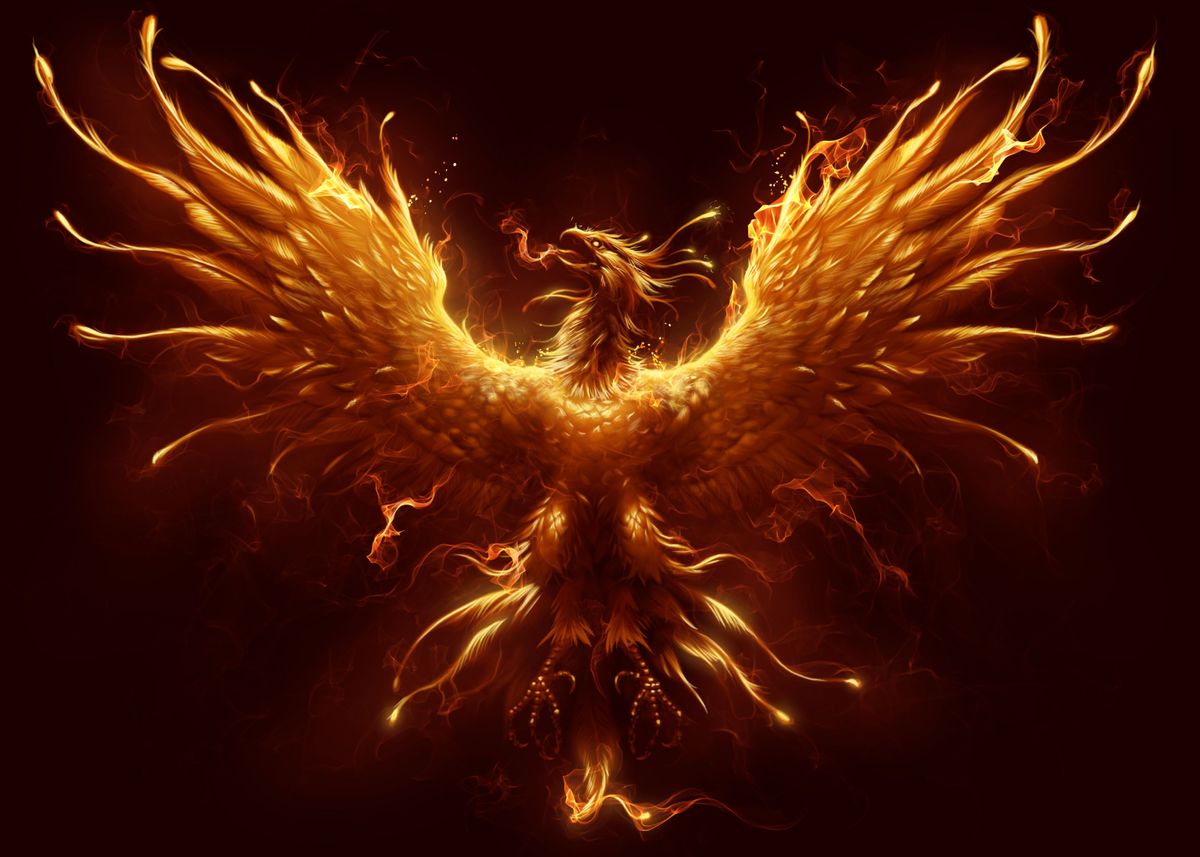 Burning bird. Phoenix Reborn. Пылающий Феникс 60x60.