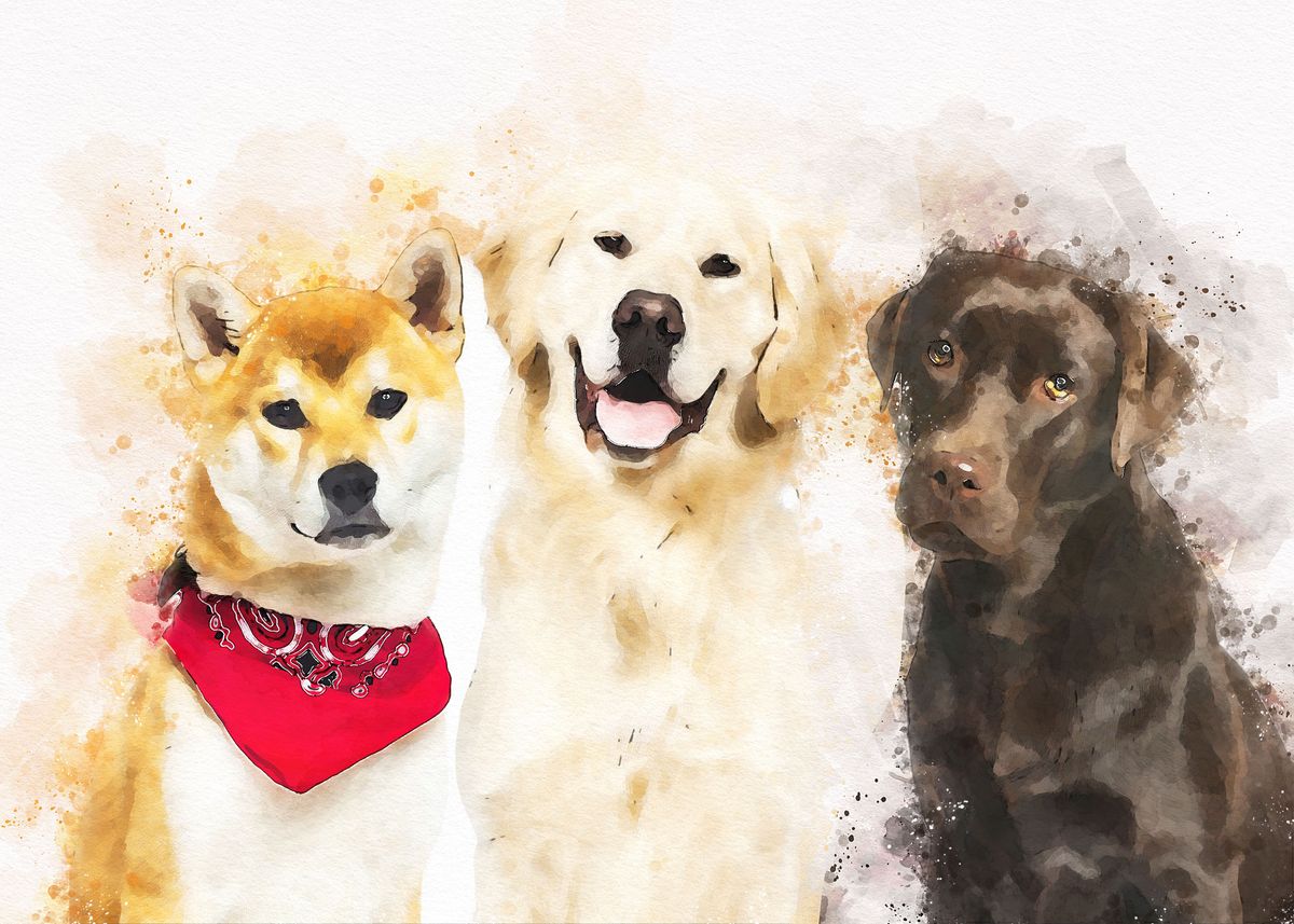 'Labrador shiba inu golden ' Poster by kun bin Displate