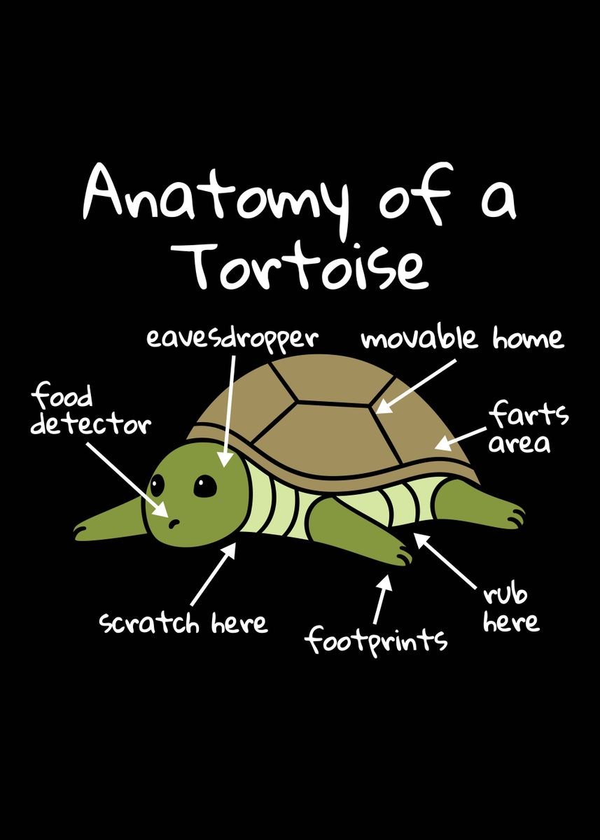 'Anatomy Of A Tortoise' Poster, picture, metal print, paint by ...