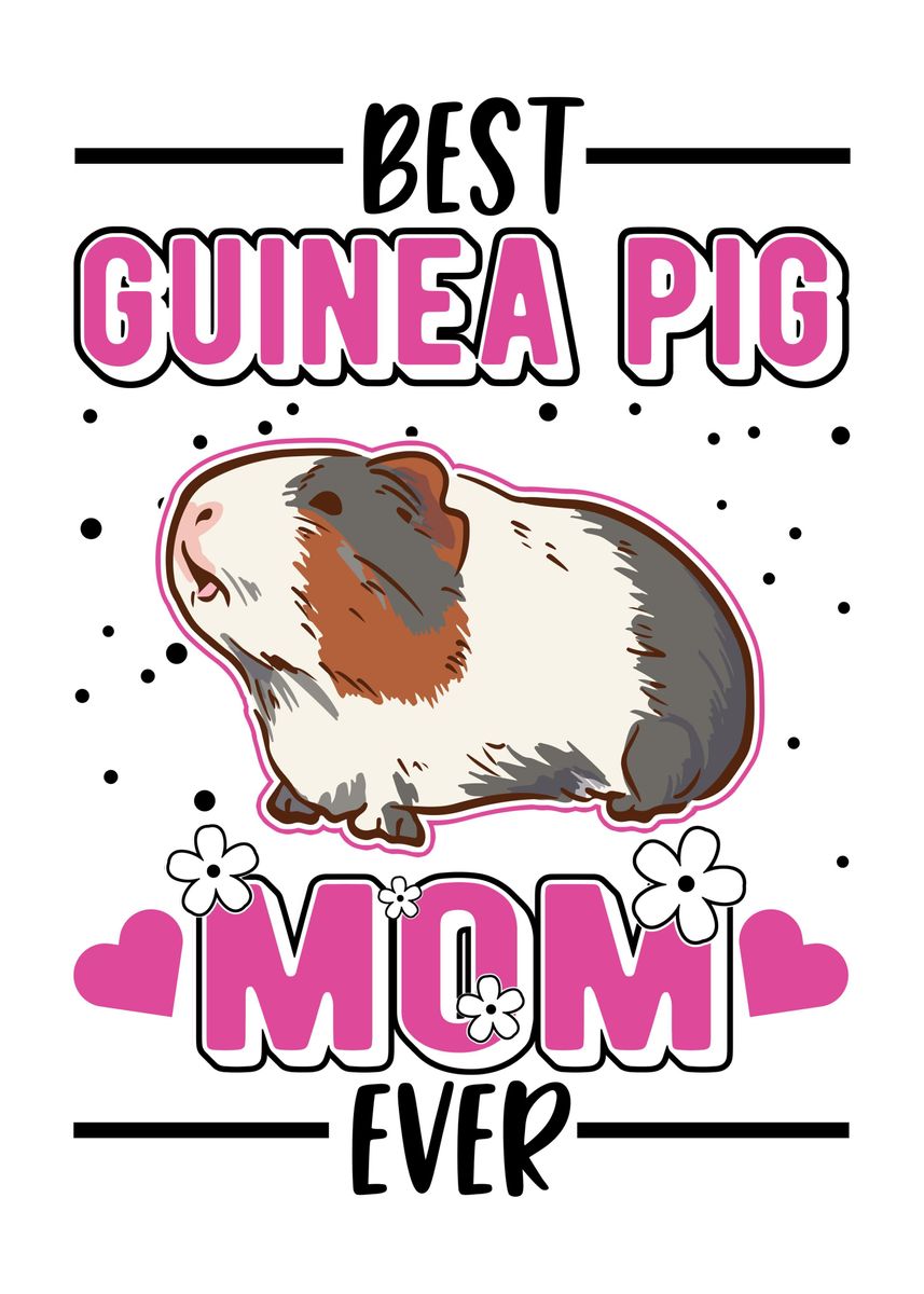 'Guinea Pig Gift' Poster, picture, metal print, paint by FavoritePlates ...