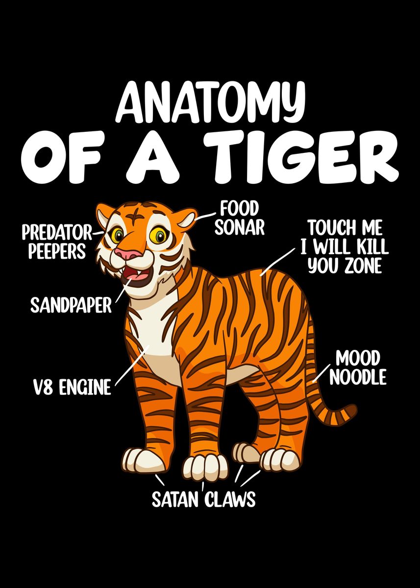 'Anatomy Of A Tiger' Poster, picture, metal print, paint by Hexor