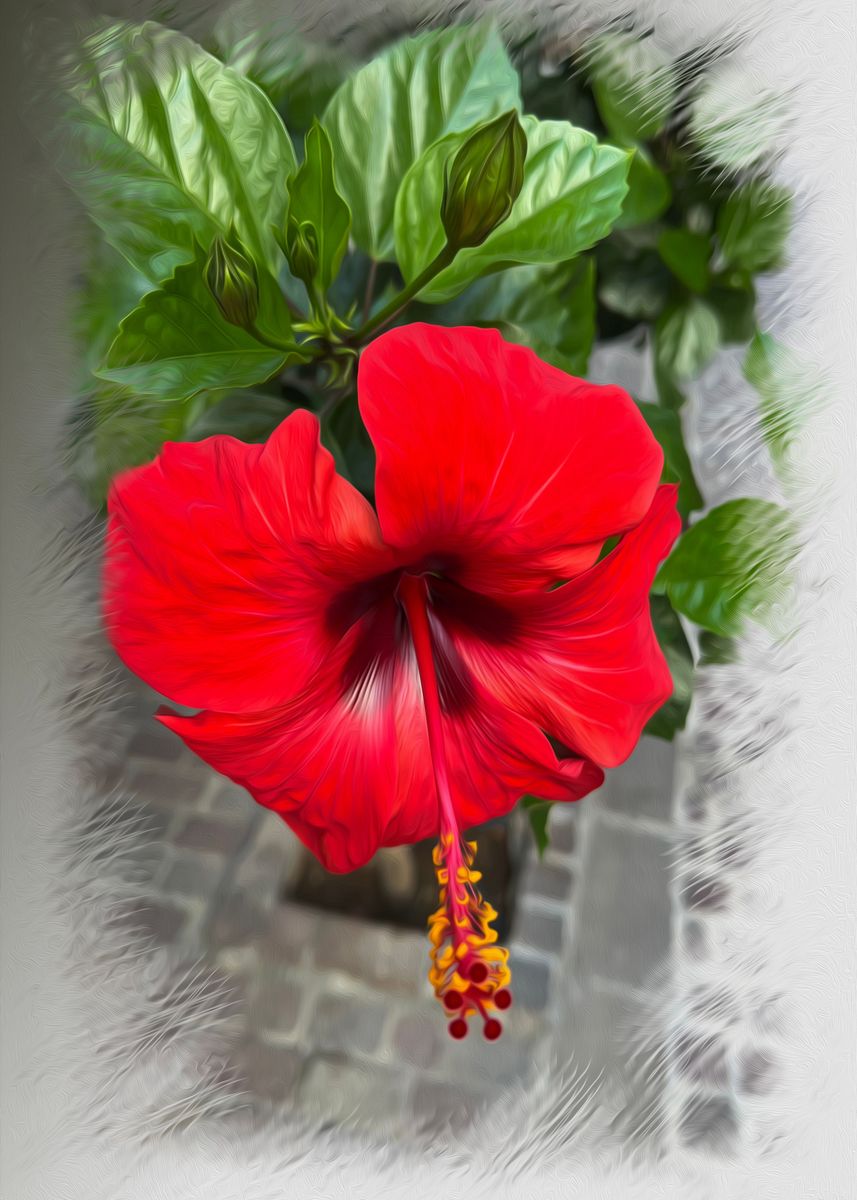 'Bright red flower' Poster by Marinela Feier Displate