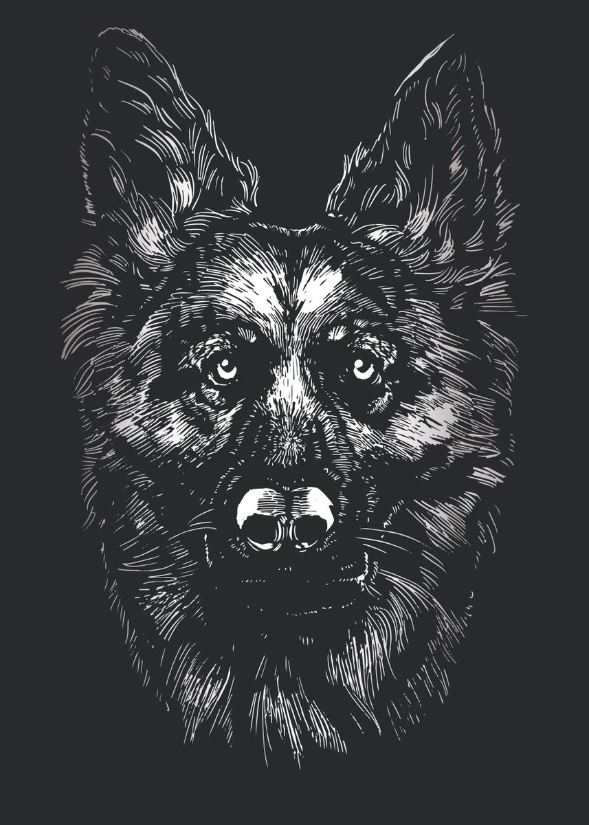 'German Shepherd Dog Face' Poster, picture, metal print, paint by ...