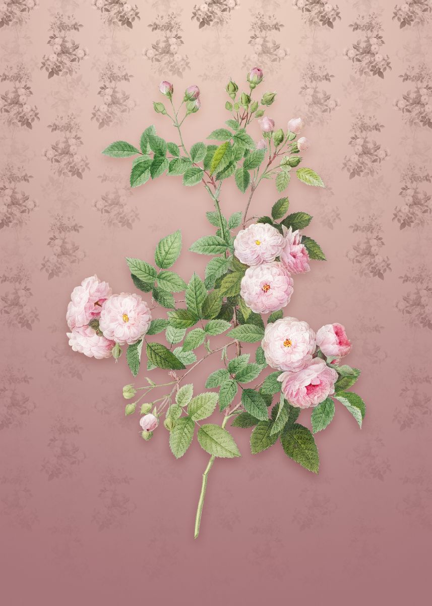'Vintage Pink Baby Roses' Poster by Holy Rock Design Displate