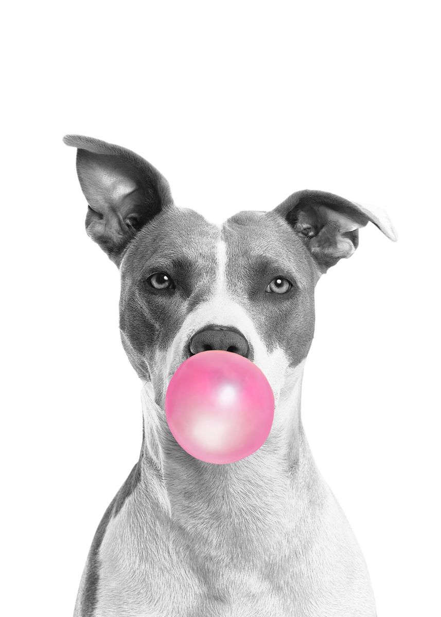'Dog Bubblegum' Poster by Batrisyia Rania Fitri Displate