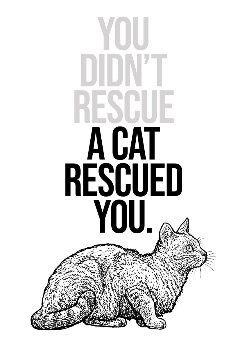 'Sweet Rescue Cat Quote' Poster by Team Awesome | Displate