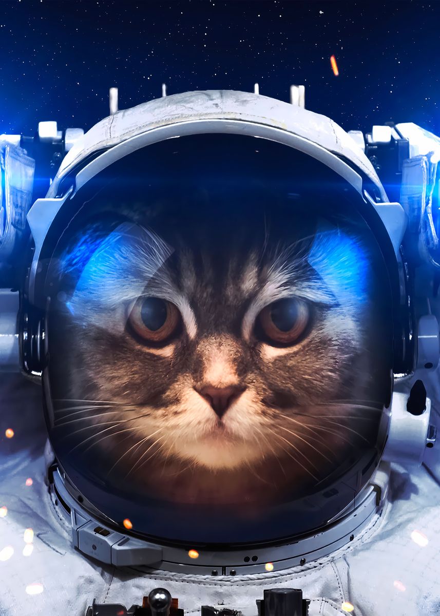 'Brave Cat Astronaut' Poster, picture, metal print, paint by Lunaxys ...