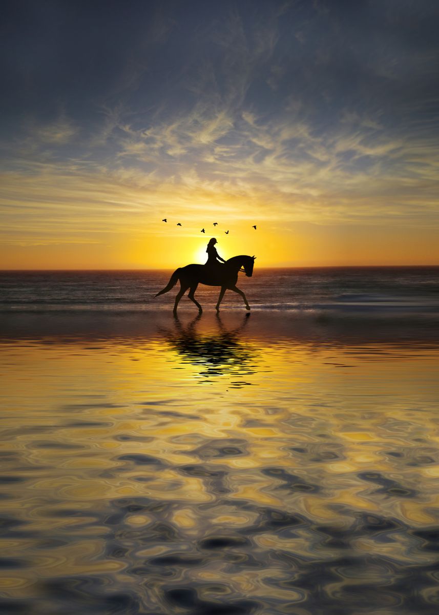 Horse And Rider In Sunset