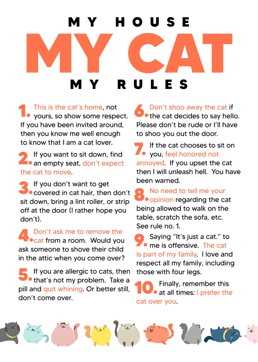 cute-funny-cat-rules-home-poster-picture-metal-print-paint-by-team