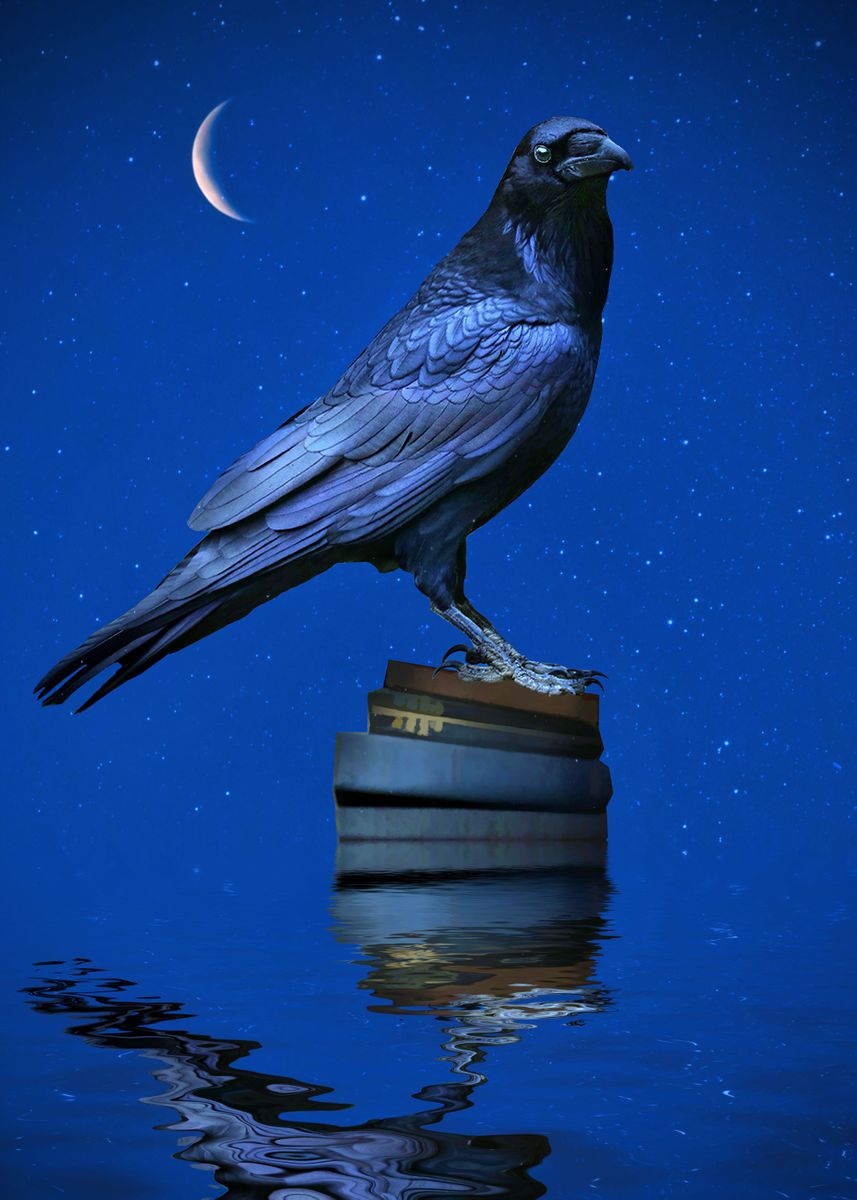 Raven Floating Line 'Raven Floating Books Moon' Poster by Stephanie Laird | Displate
