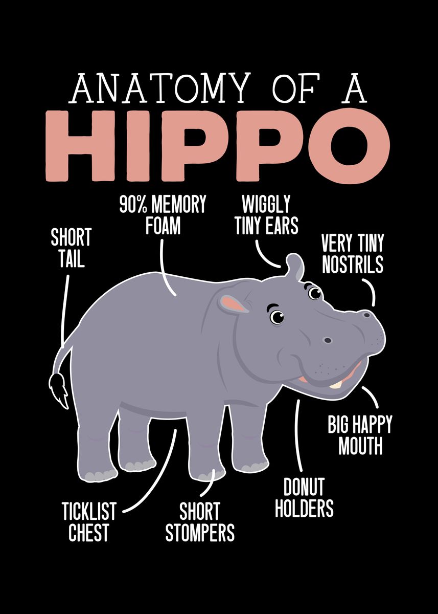 'Anatomy Of A Hippo' Poster by NAO | Displate