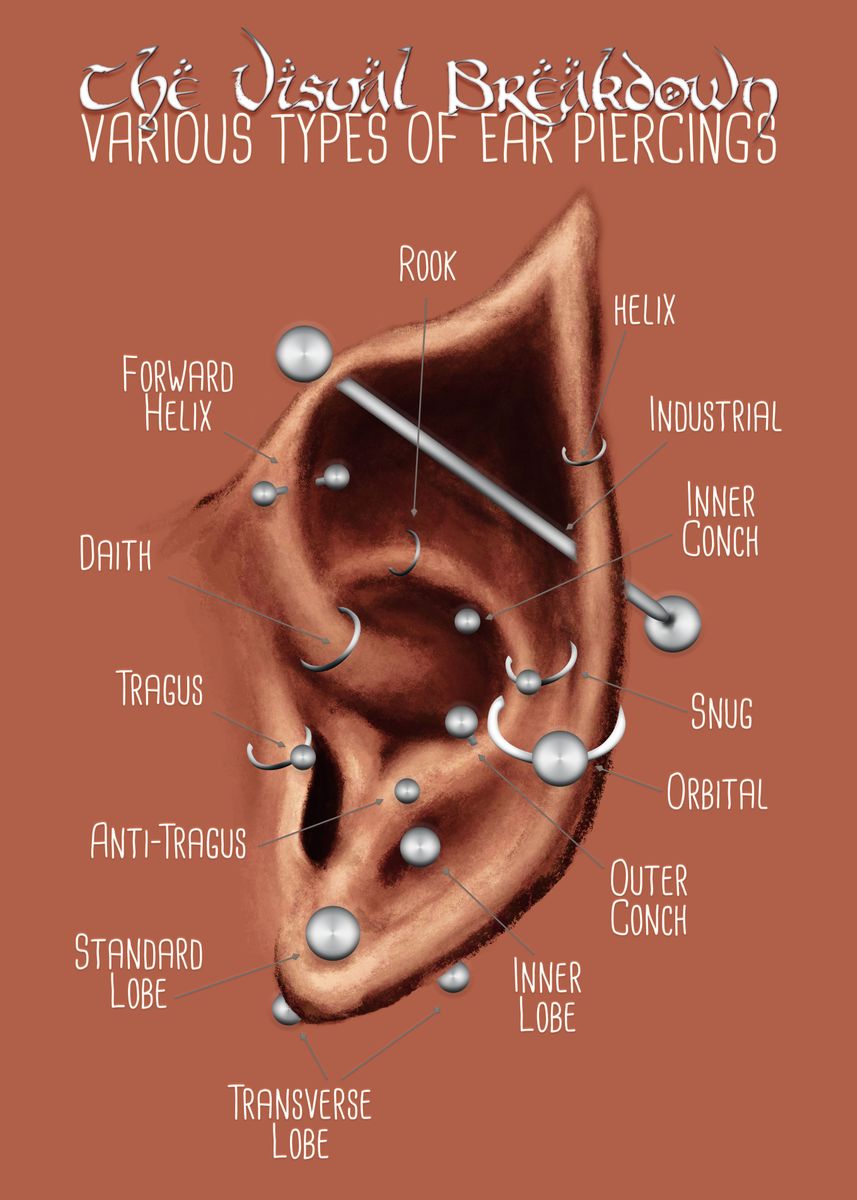 Elven Med Piercing Chart Poster By Jarrod Vandenberg Displate