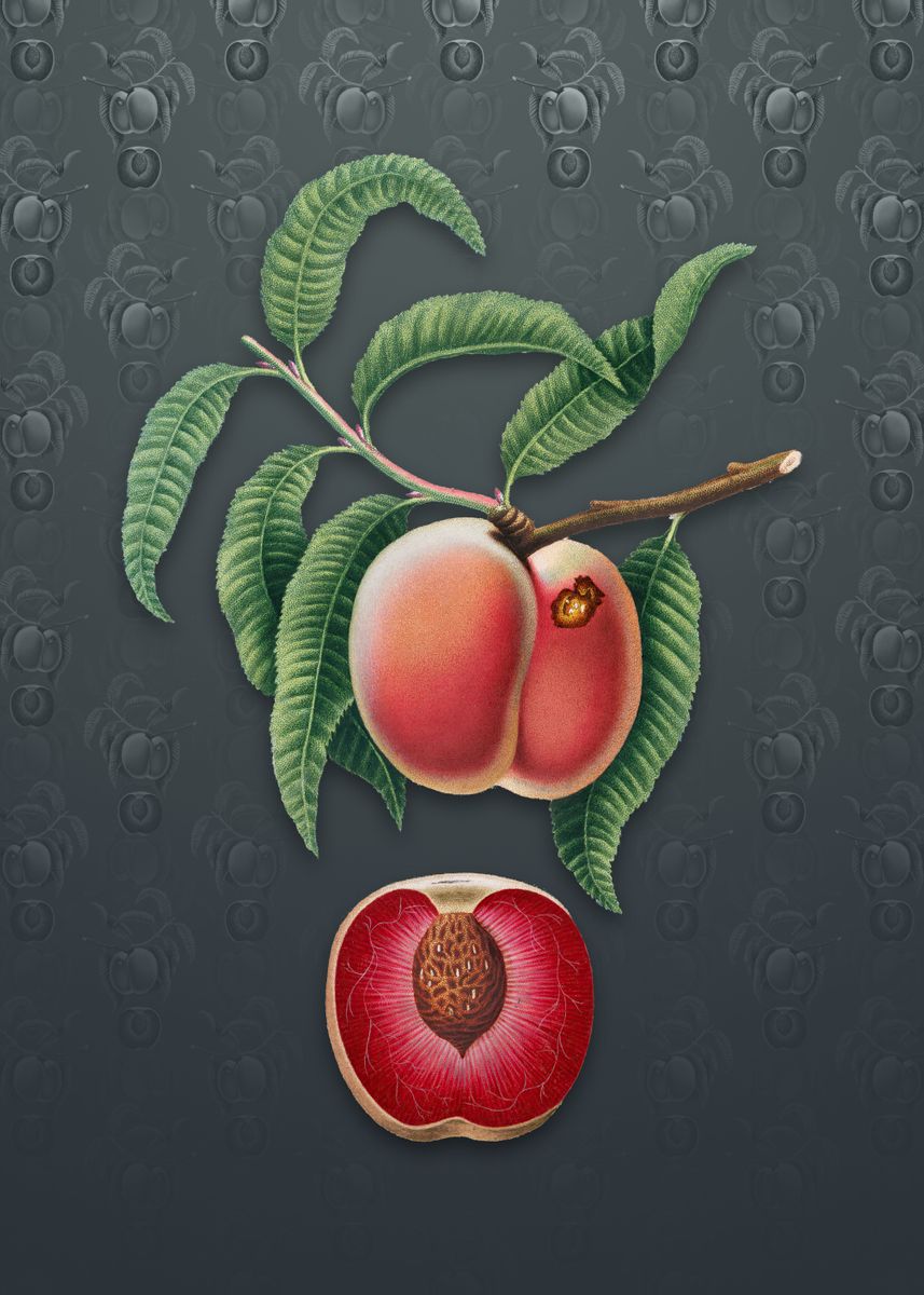 Vintage Carrot Peach Poster By Holy Rock Design Displate