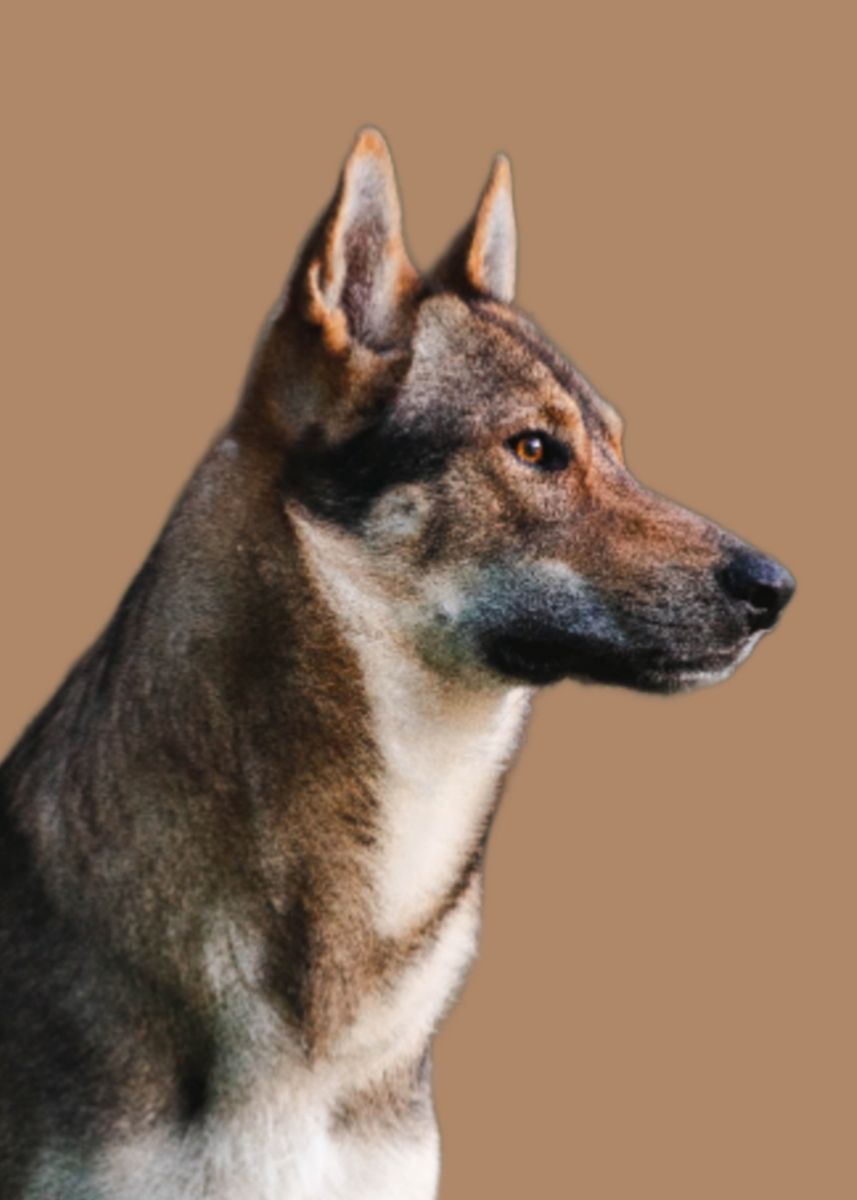 'Dog Portrait' Poster by Batrisyia Rania Fitri Displate