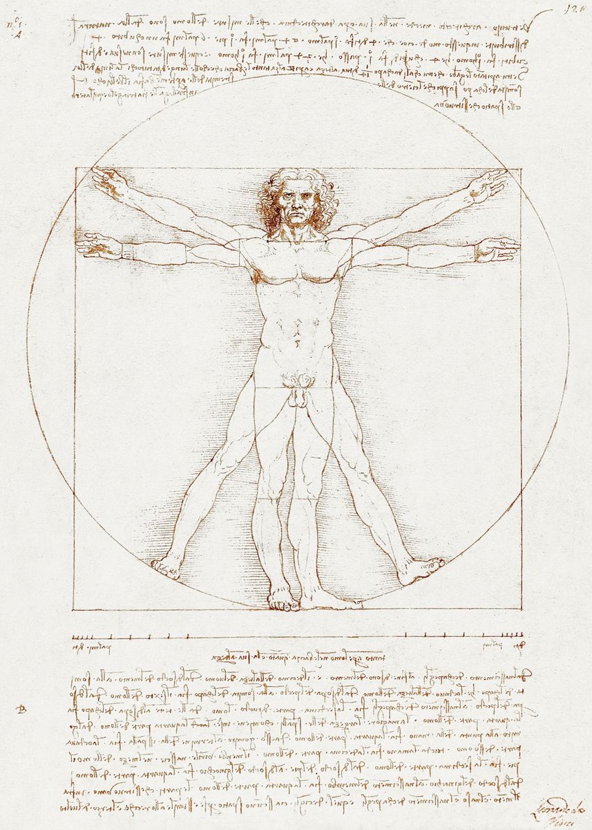 'Vitruvian Man' Poster, picture, metal print, paint by Tim | Displate