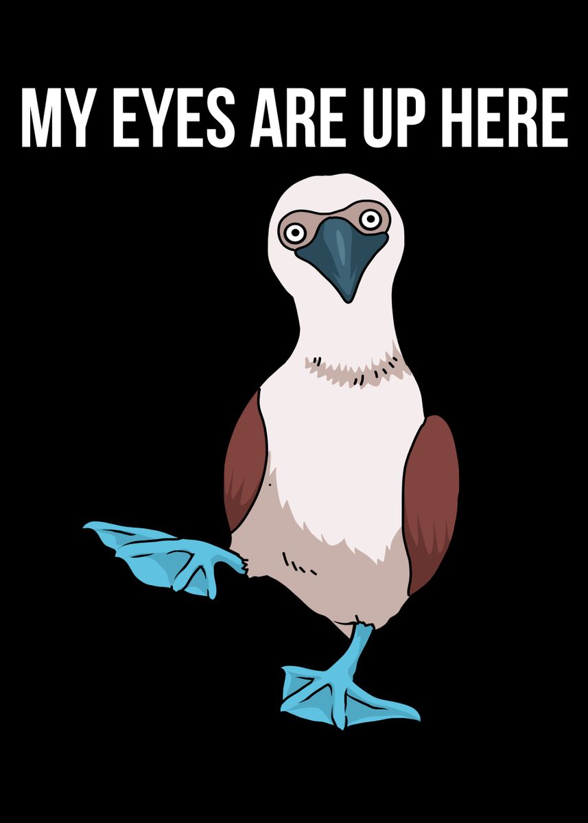 'Blue Footed Boobie Bird' Poster, picture, metal print, paint by