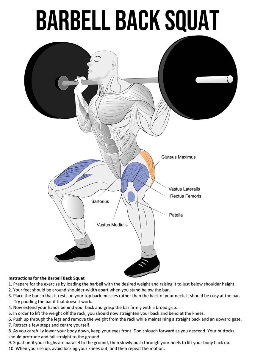 What Muscles Are Worked In A Squat At Charles Bolden Blog