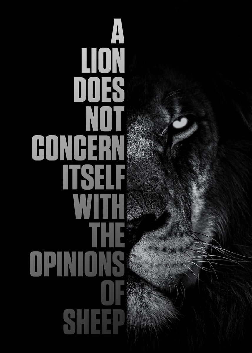 'A lion does not concern' Poster, picture, metal print, paint by Van ...