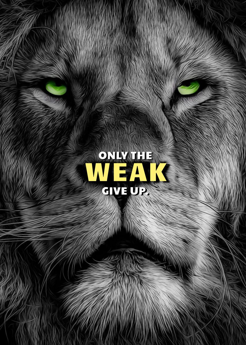 Lions Never Give Up' Poster by Millionaire Quotes | Displate