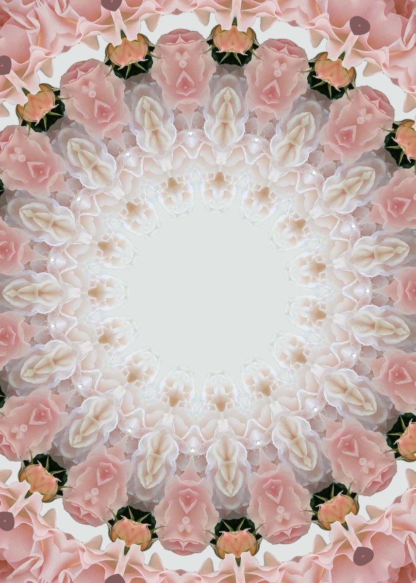 'Pink rose mandala' Poster, picture, metal print, paint by Edy Art ...