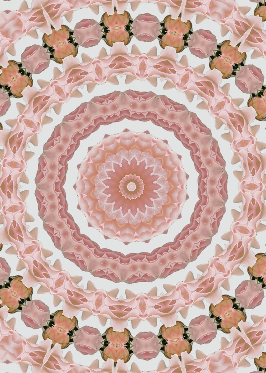 'Pink rose kaleidoscope' Poster by Edy Art Space | Displate