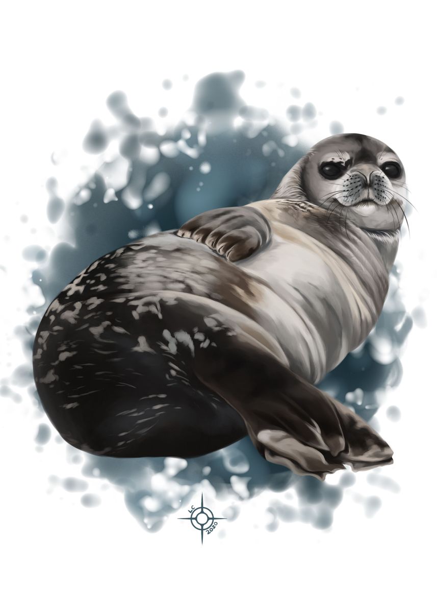 French Seal' Poster by Laney Cardenas | Displate