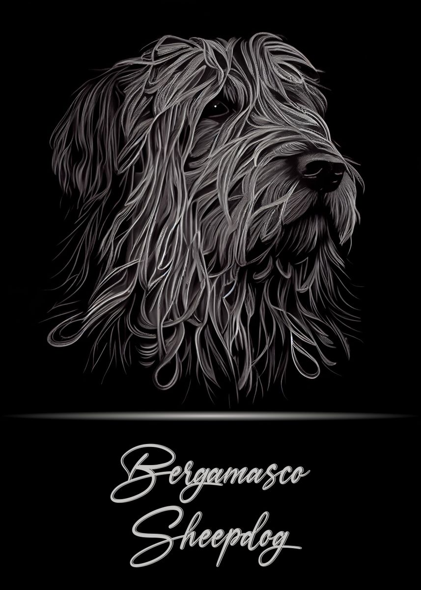 'Bergamasco Sheepdog' Poster, picture, metal print, paint by Artistic