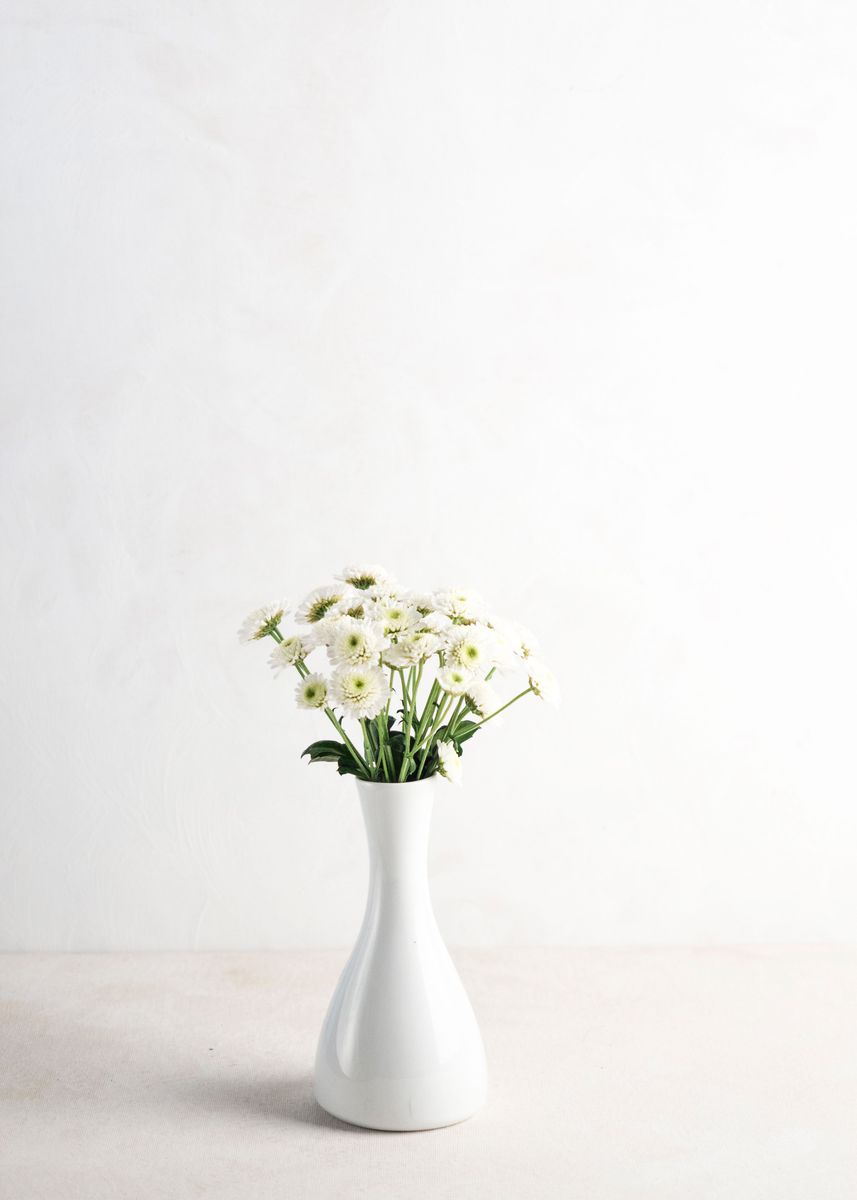 'White Flower on Desk' Poster, picture, metal print, paint by Lunaxys