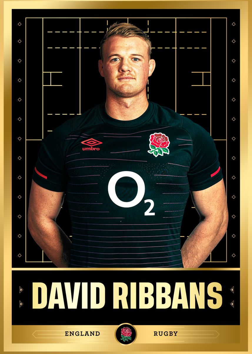 David Ribbans' Poster, picture, metal print, paint by England Rugby |  Displate