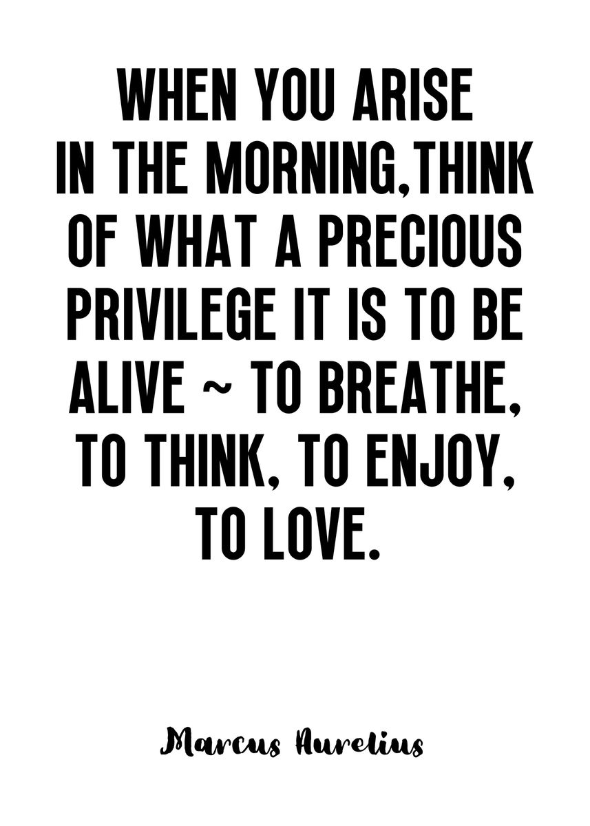 'Marcus Aurelius Quote' Poster, picture, metal print, paint by Yess ...