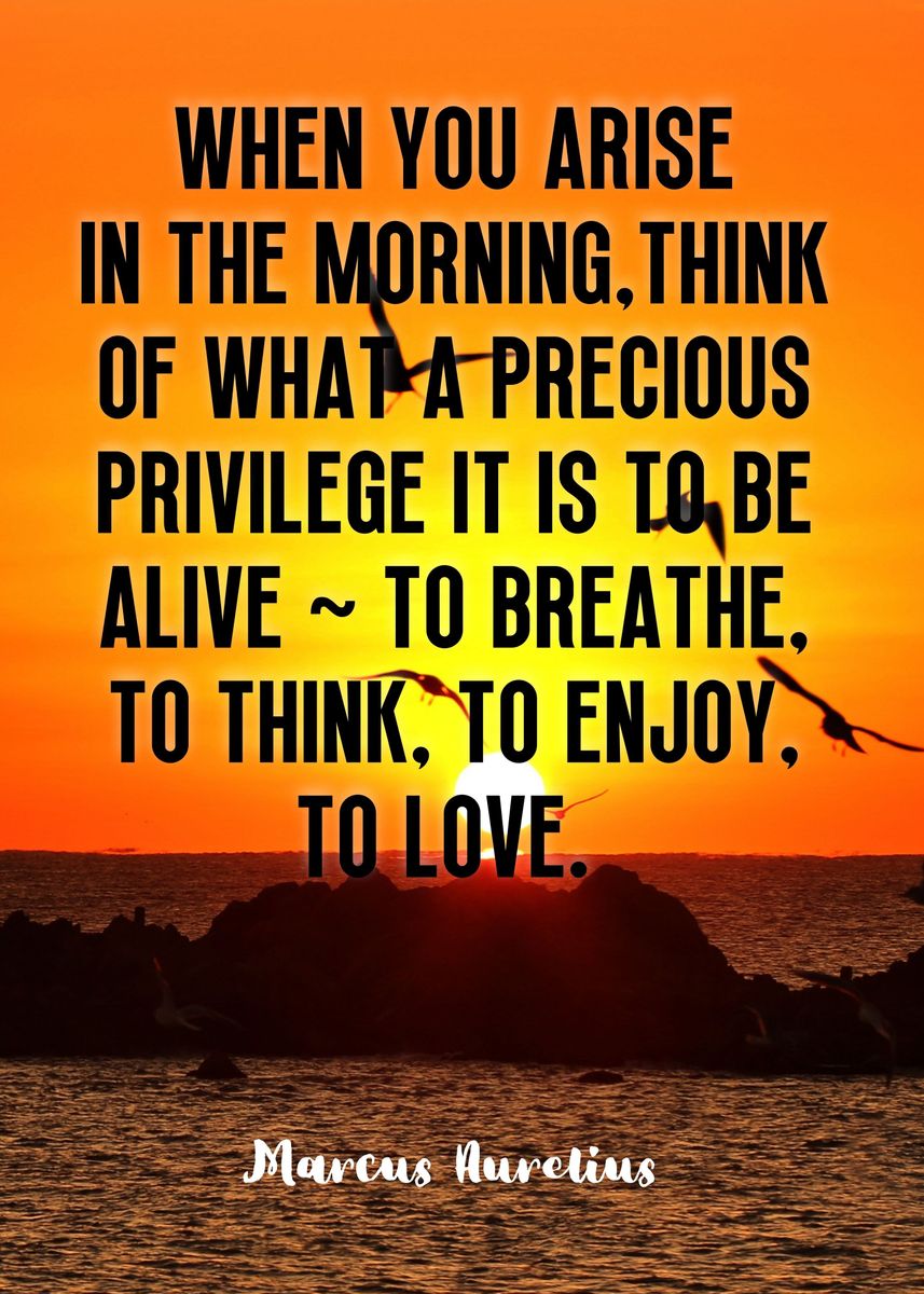 'Marcus Aurelius Quote' Poster, picture, metal print, paint by Yess ...