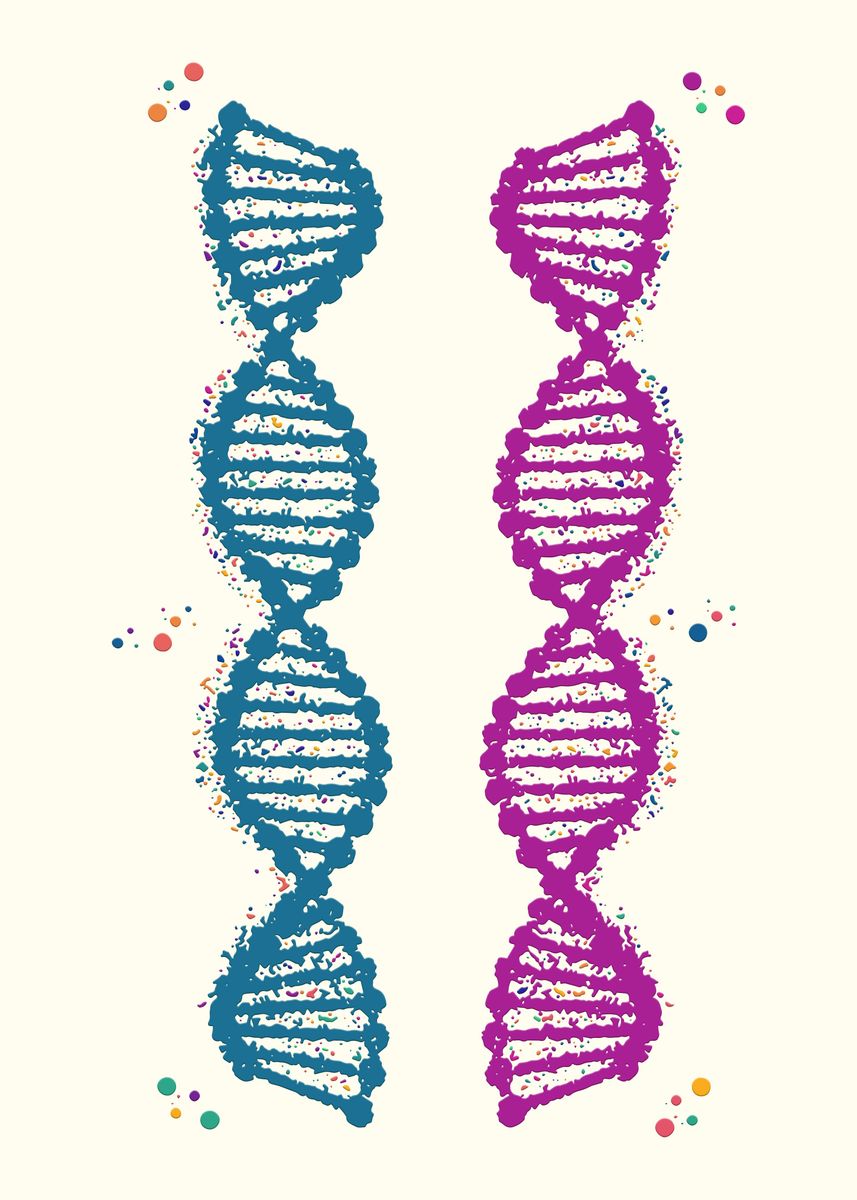 'Painting Dna Double Helix' Poster, picture, metal print, paint by ...