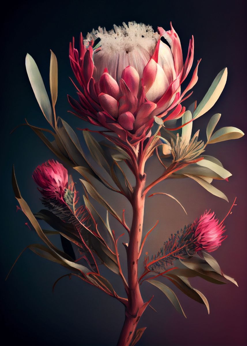 'The Beauty of Warratahs' Poster by Steel Canvas Creations | Displate