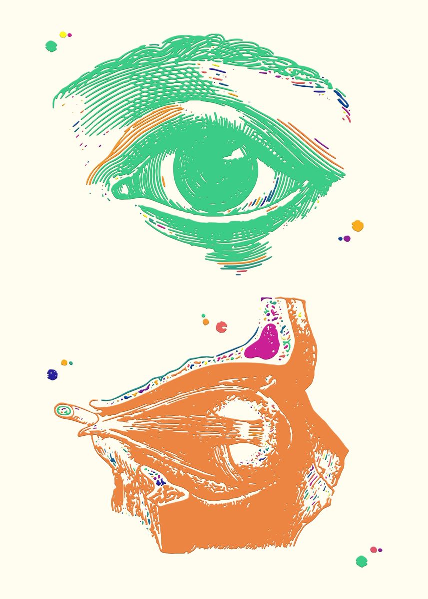 'Eye anatomy' Poster by Dutton Jerrell | Displate