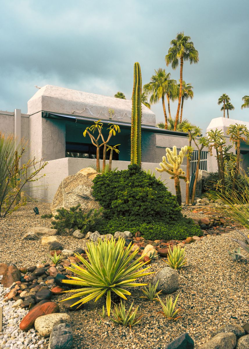 'Palm Springs Desert Plants' Poster, picture, metal print, paint by ...