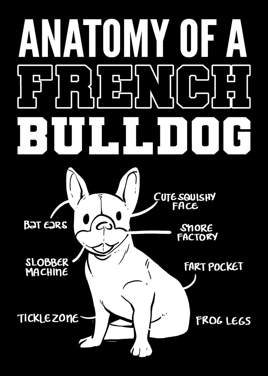 'French Bulldog Dog Groomer' Poster, picture, metal print, paint by