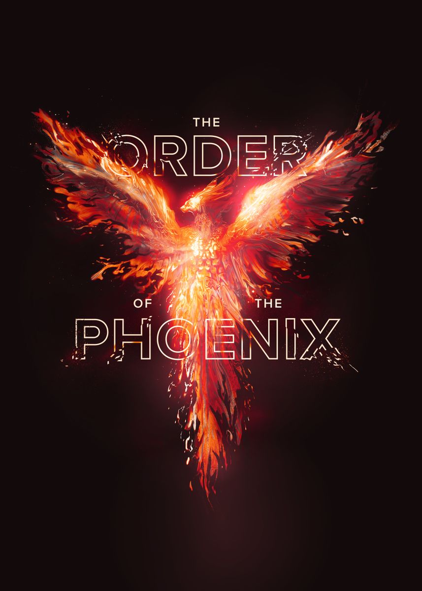 'the Order Of The Phoenix' Poster, Picture, Metal Print, Paint By 