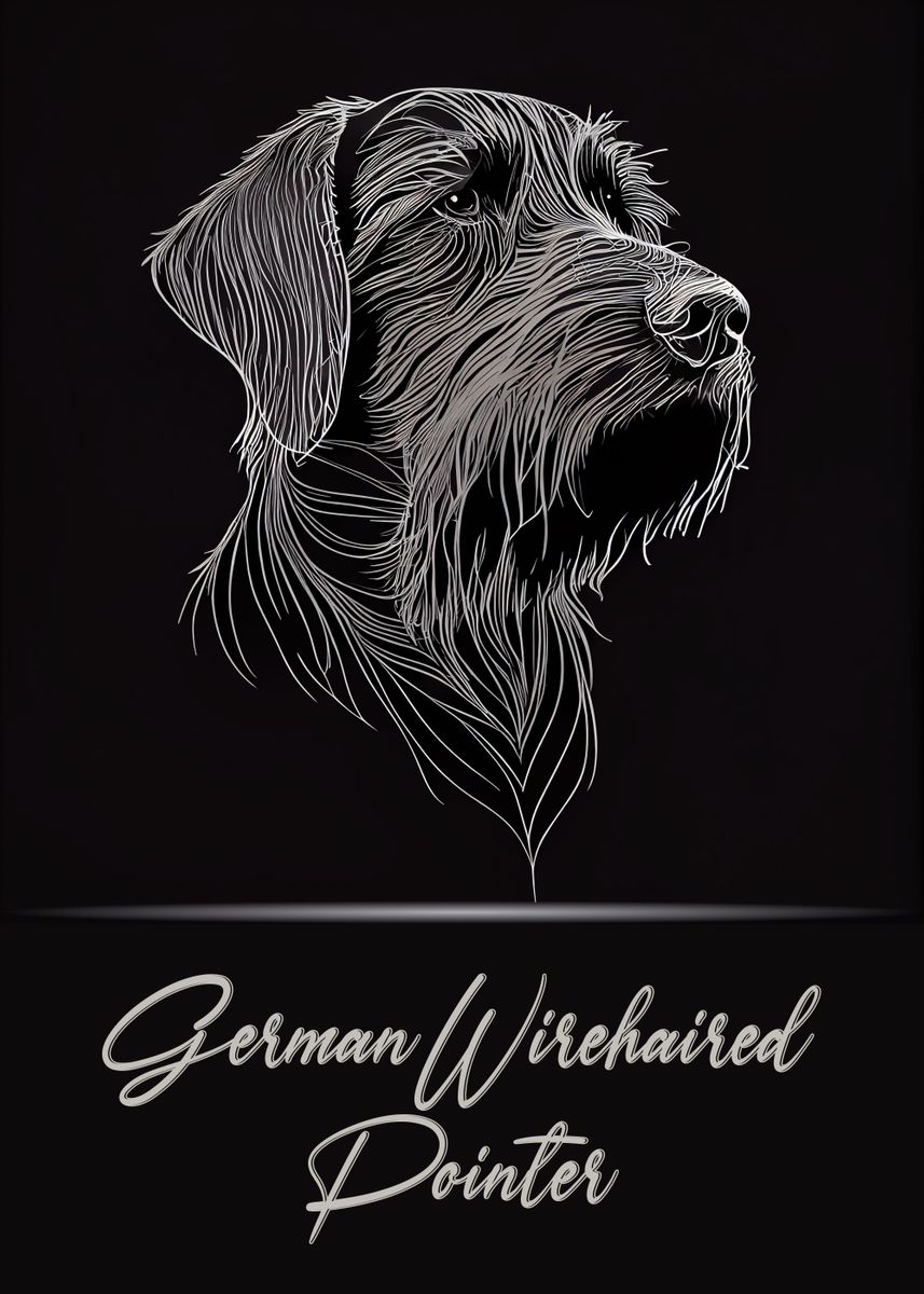 'German Wirehaired Pointer' Poster, picture, metal print, paint by ...