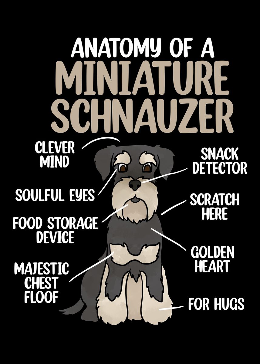 'Anatomy Of A Schnauzer' Poster, picture, metal print, paint by Hexor ...