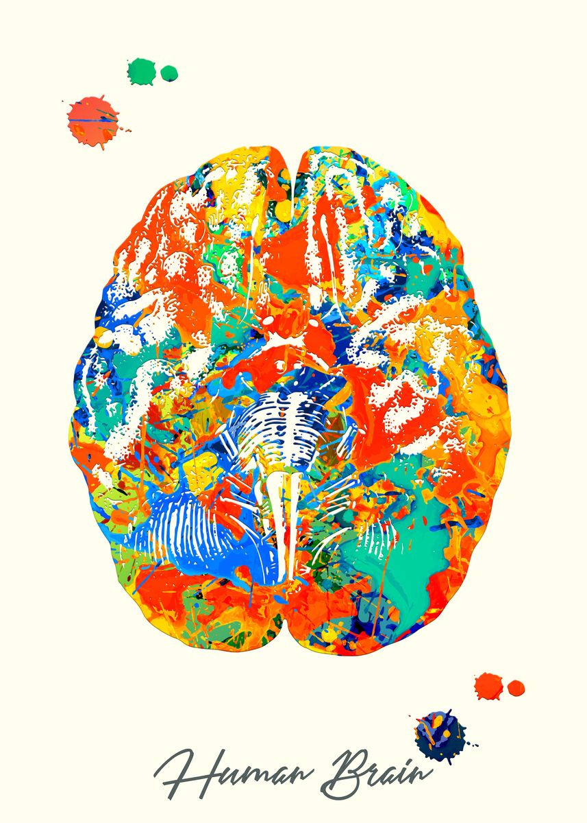 Human Brain Poster By Vincent Vorce Displate 1918