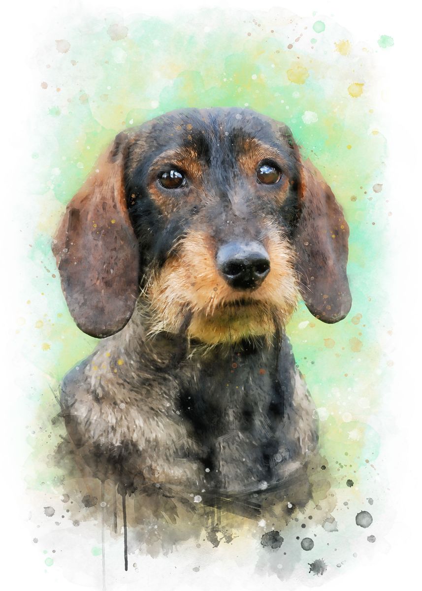 'Dachshund watercolor' Poster, picture, metal print, paint by PetsArt ...