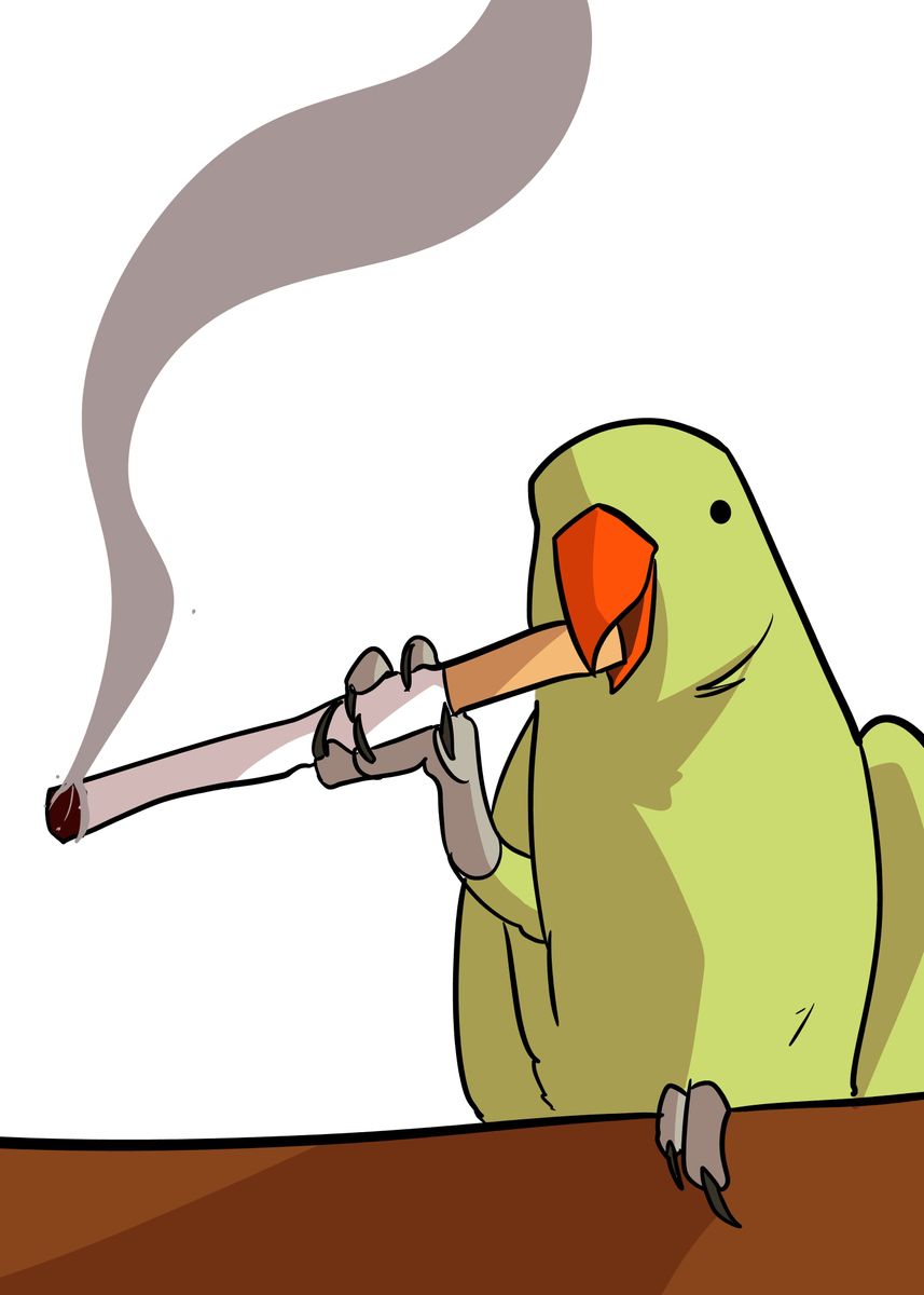 'smoking bird' Poster, picture, metal print, paint by hafis ardiansyah