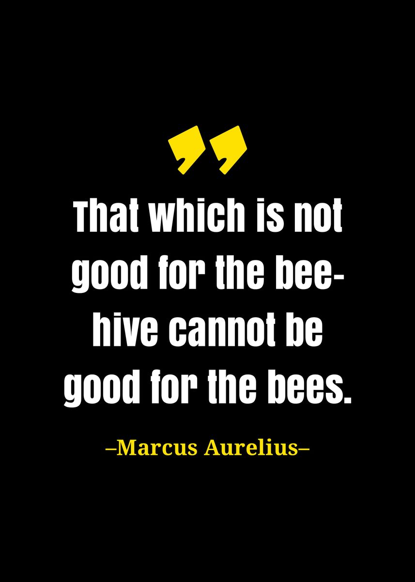 'Marcus Aurelius quote' Poster, picture, metal print, paint by Gembull ...