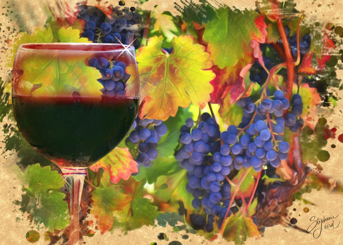 Wine And Grapes Painterly Poster By Stephanie Laird Displate