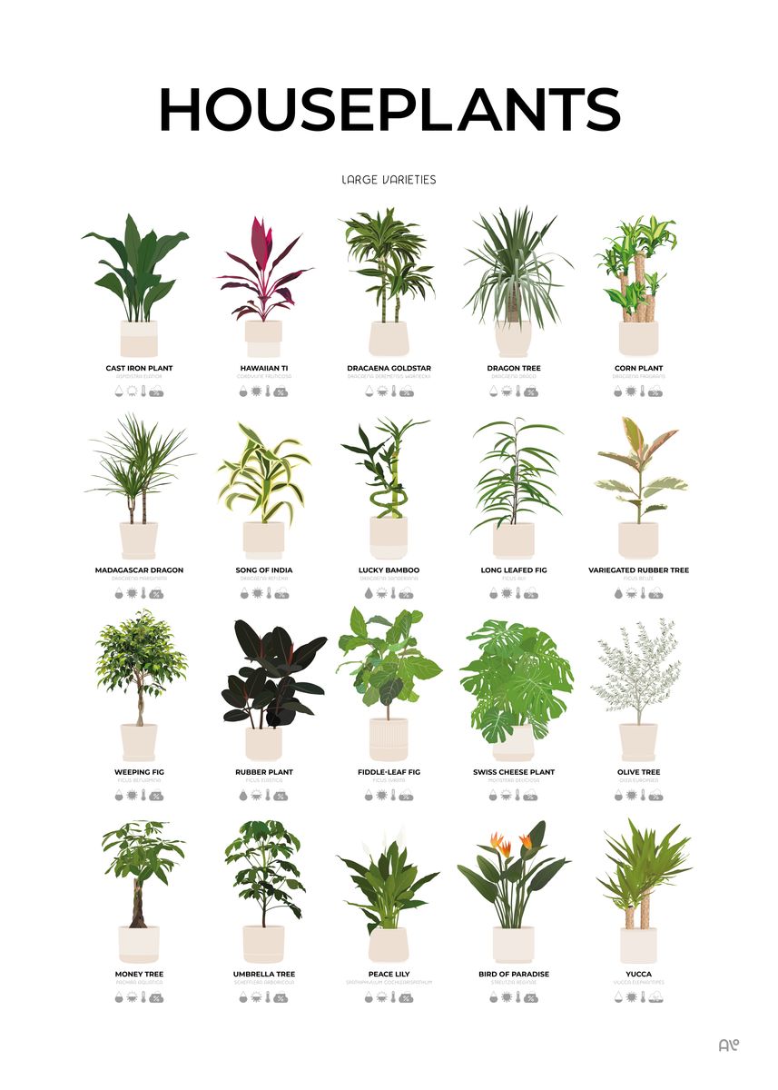 'Large Houseplants Chart' Poster, picture, metal print, paint by aio ...